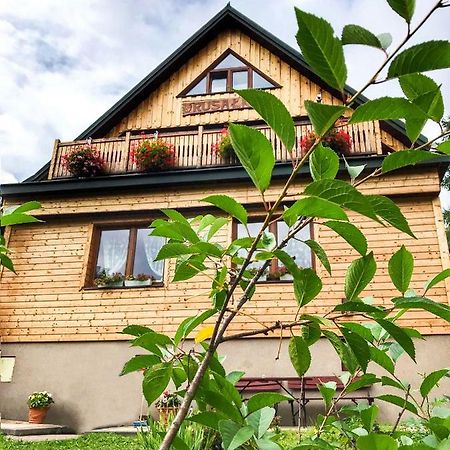 Rusalka Krynica Zdroj Bagian luar foto